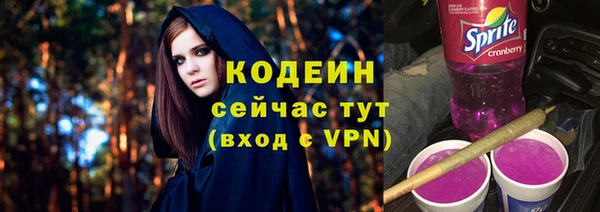 прущие грибы Арсеньев