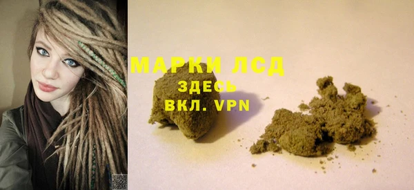 прущие грибы Арсеньев