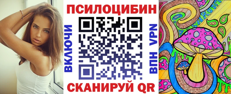 mega   Тара  Галлюциногенные грибы прущие грибы 