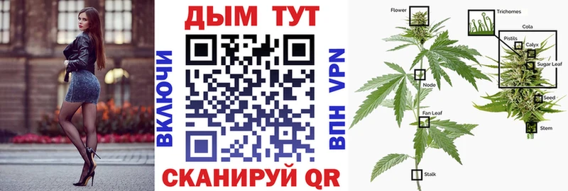 Бошки марихуана White Widow  где можно купить наркотик  Тара 